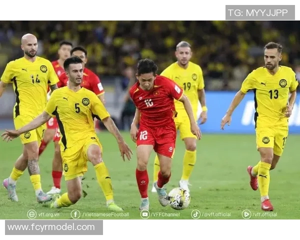 归化足球明星盘点他们的成就与影响力分析