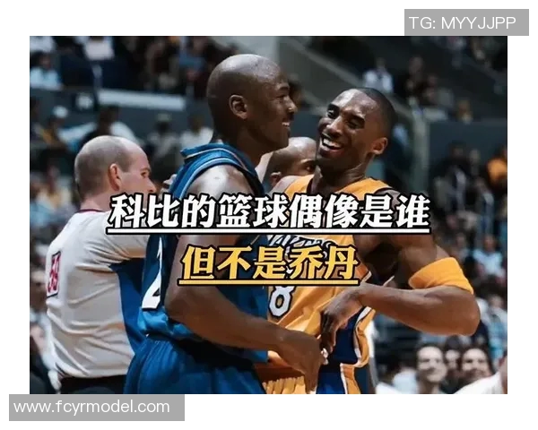 寻找心中的篮球偶像与明星背后的故事与激情