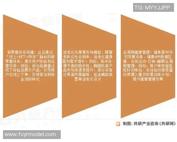 体育器材批发市场分析与发展趋势探讨助力体育产业升级与创新